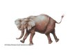 flying heavy animals: elephant