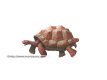 flying heavy animals: tortoise